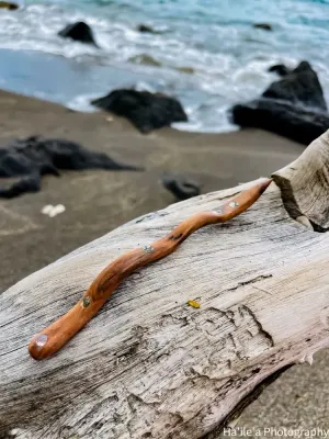 E OLA ANA - Paua Aalii Hair Stick